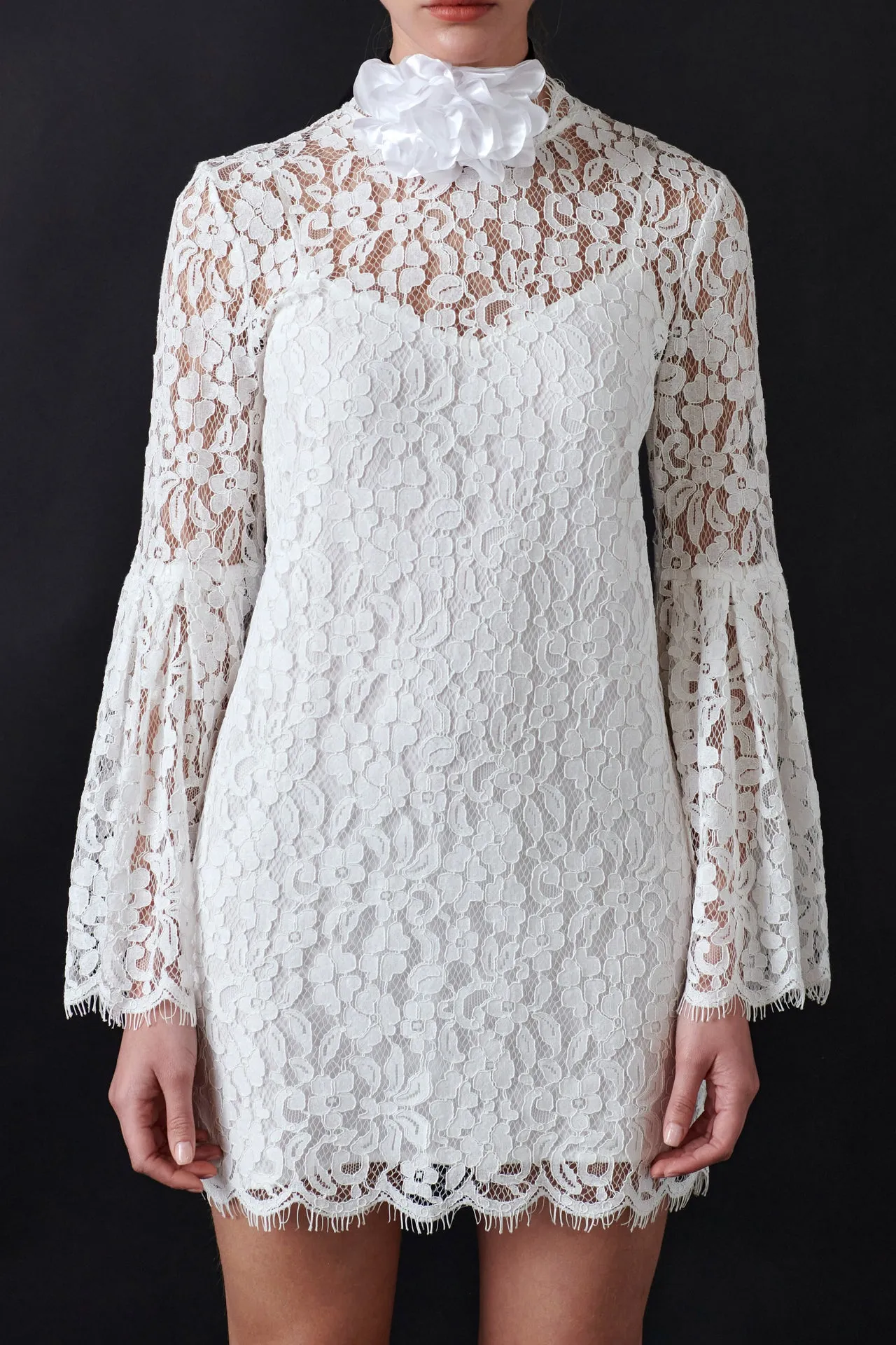 Bell Sleeve Lace Dress