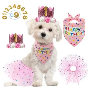 Pet Birthday Party Crown Pink Scarf Set