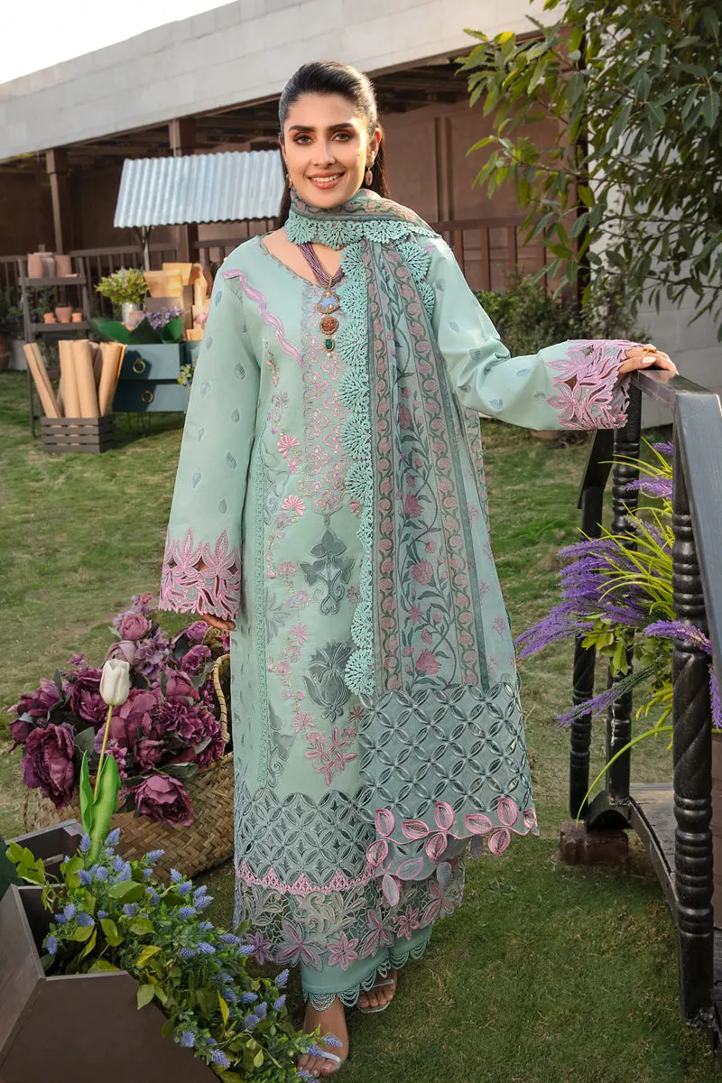 Rang Rasiya Luxury Festive Lawn Collection – Amyra