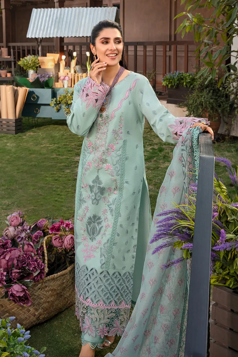 Rang Rasiya Luxury Festive Lawn Collection – Amyra