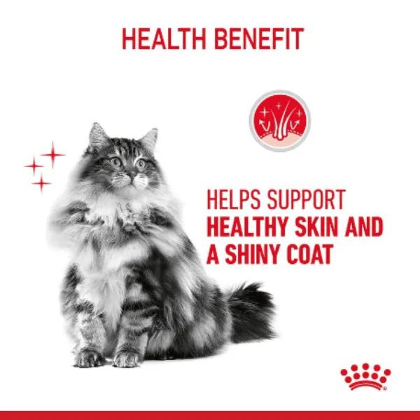 Royal Canin Hair & Skin Gravy